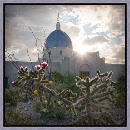 Tucson Brightness and Glory Gallery Wrap