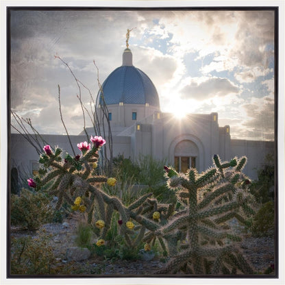 Tucson Brightness and Glory Gallery Wrap