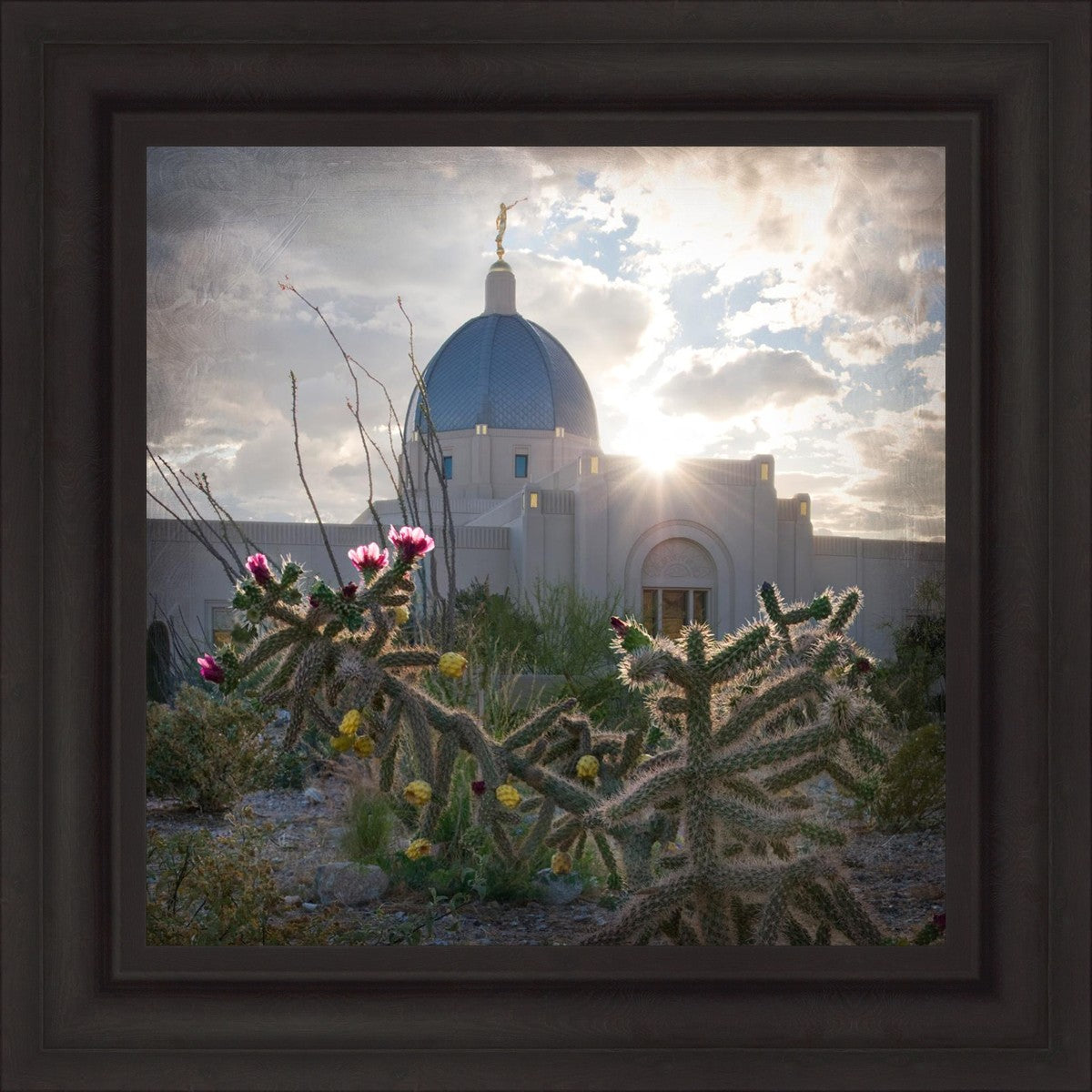 Tucson Brightness and Glory