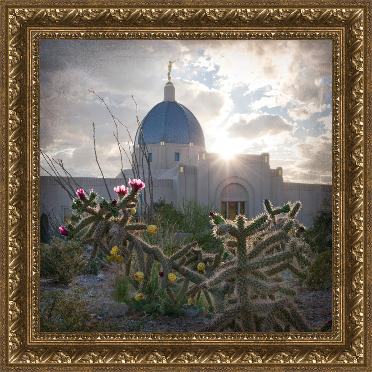 Tucson Brightness and Glory