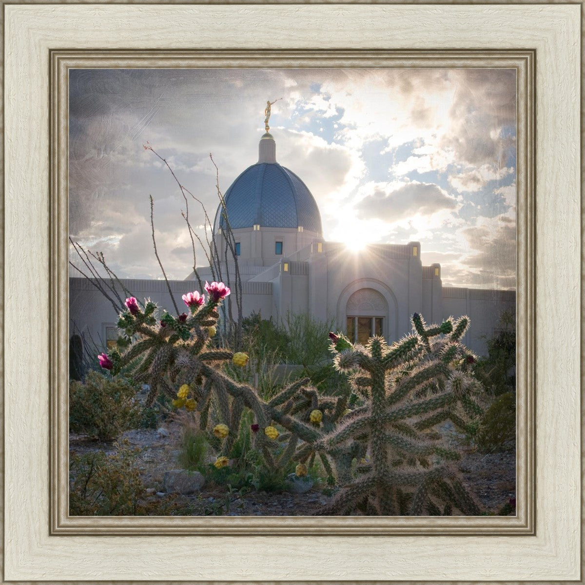 Tucson Brightness and Glory