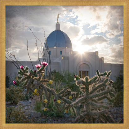 Tucson Brightness and Glory