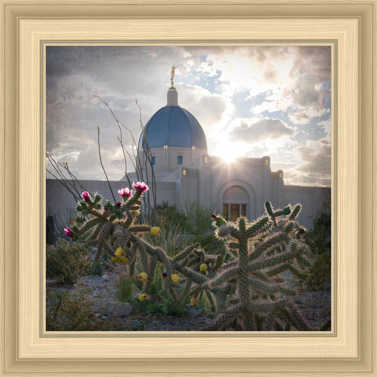 Tucson Brightness and Glory