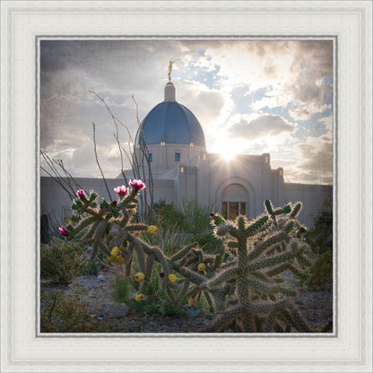 Tucson Brightness and Glory