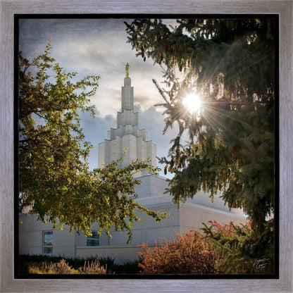 Idaho Falls Brightness and Glory Gallery Wrap