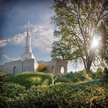 Sacramento Brightness and Glory Gallery Wrap