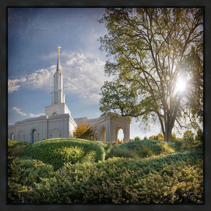 Sacramento Brightness and Glory Gallery Wrap