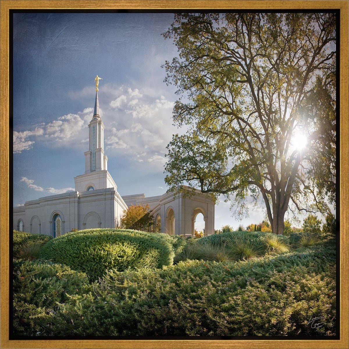 Sacramento Brightness and Glory Gallery Wrap