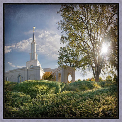 Sacramento Brightness and Glory Gallery Wrap