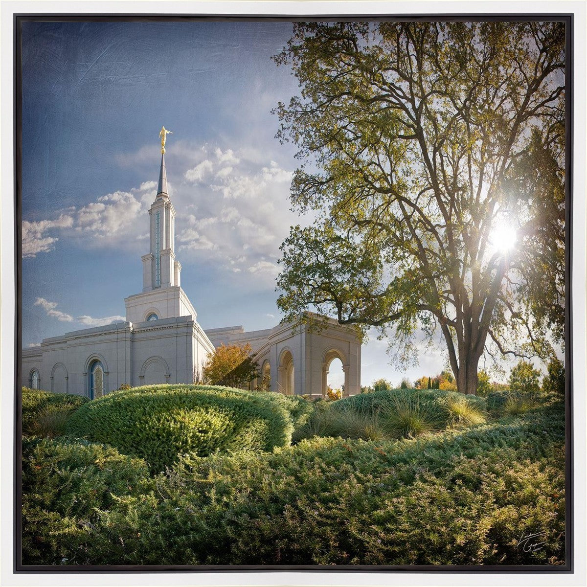 Sacramento Brightness and Glory Gallery Wrap
