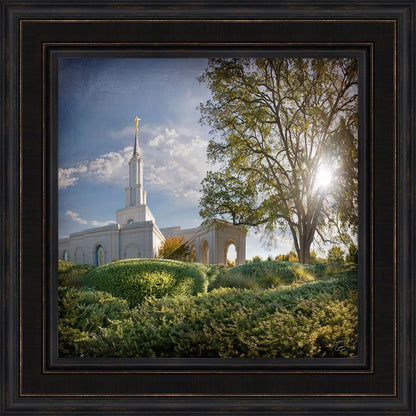 Sacramento Brightness and Glory