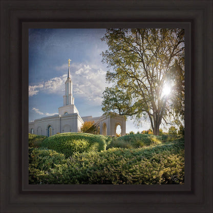 Sacramento Brightness and Glory