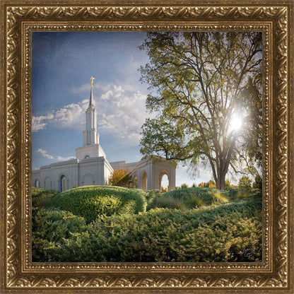 Sacramento Brightness and Glory