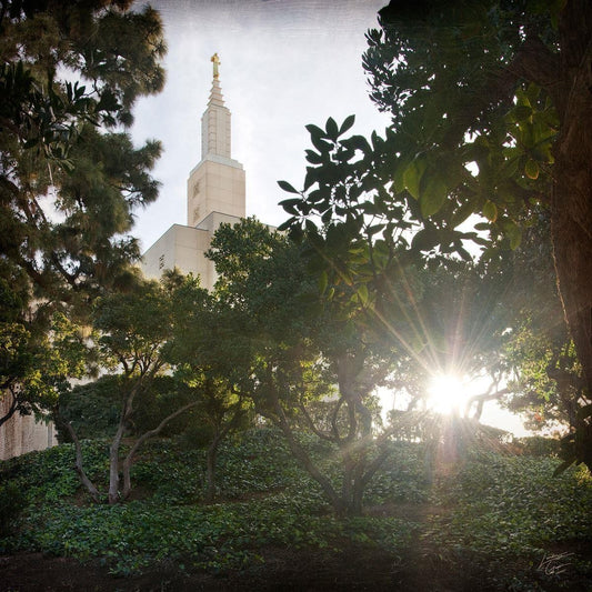 Los Angeles Brightness and Glory Gallery Wrap