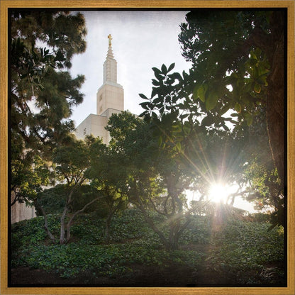 Los Angeles Brightness and Glory Gallery Wrap