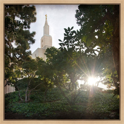 Los Angeles Brightness and Glory Gallery Wrap