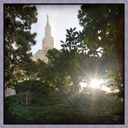 Los Angeles Brightness and Glory Gallery Wrap