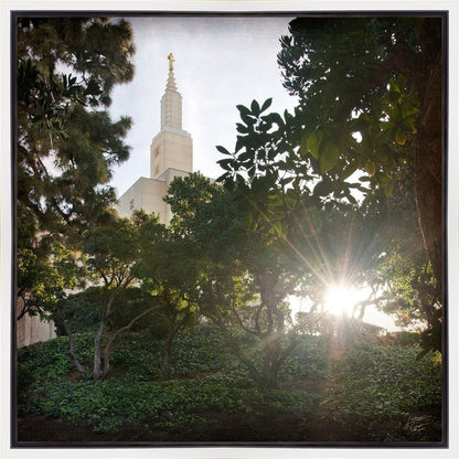 Los Angeles Brightness and Glory Gallery Wrap