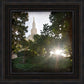 Los Angeles Brightness and Glory