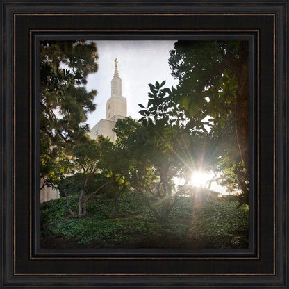 Los Angeles Brightness and Glory