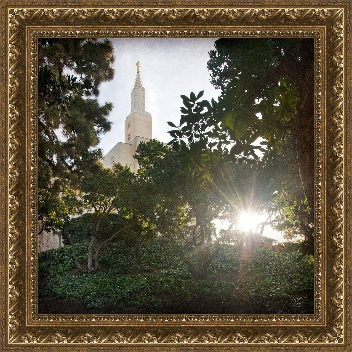 Los Angeles Brightness and Glory