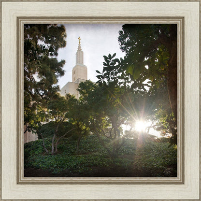 Los Angeles Brightness and Glory