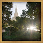Los Angeles Brightness and Glory