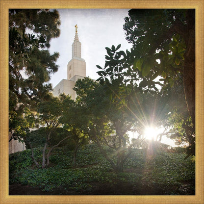 Los Angeles Brightness and Glory