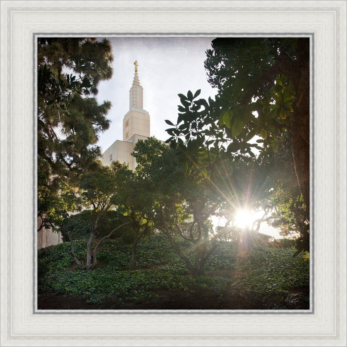 Los Angeles Brightness and Glory