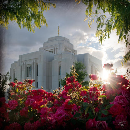 Meridian Brightness and Glory Gallery Wrap