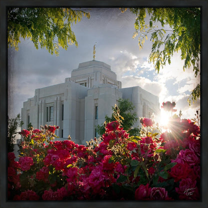 Meridian Brightness and Glory Gallery Wrap