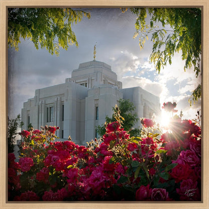 Meridian Brightness and Glory Gallery Wrap