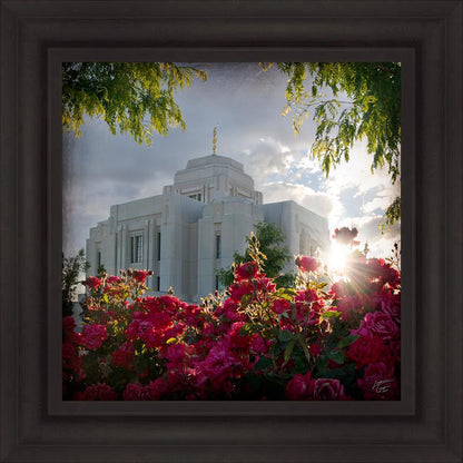 Meridian Brightness and Glory