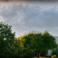 Monticello, the Day Dawn is Breaking