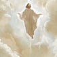 Jesus in Glory