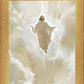 Jesus in Glory