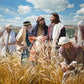 Lord of the Sabbath