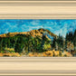 Mountain Meadow