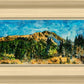 Mountain Meadow