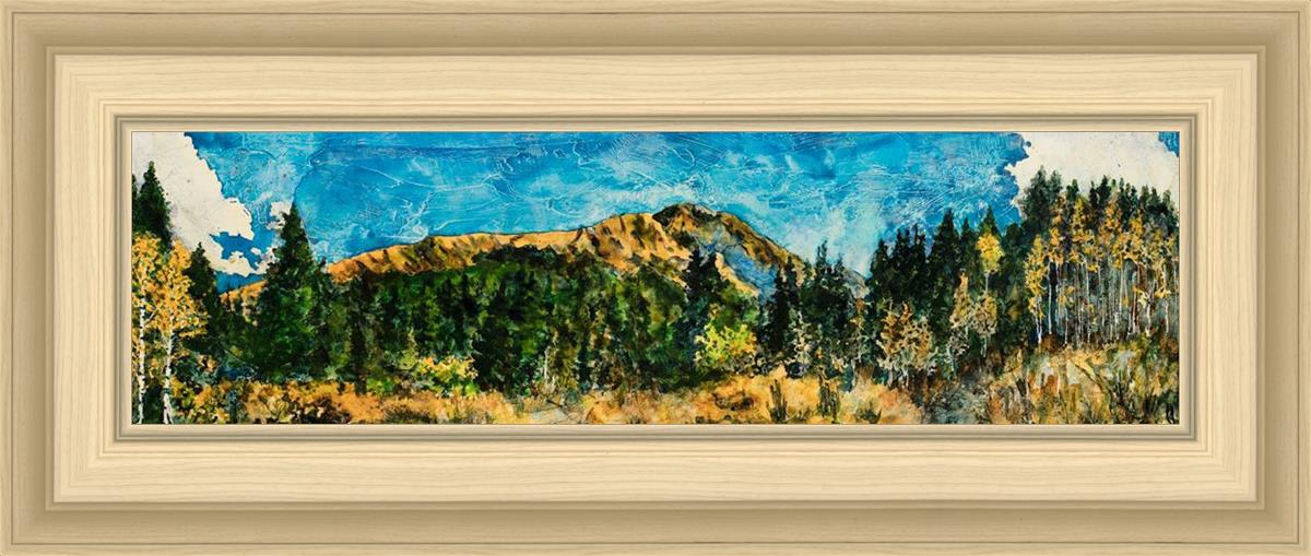 Mountain Meadow