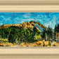 Mountain Meadow