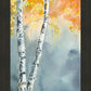 Aspen Fog