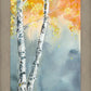 Aspen Fog