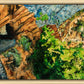 Timpanogos Cave Trail