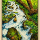 Summer Cascade