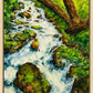 Summer Cascade