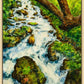 Summer Cascade