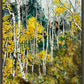 The Golden Wood