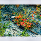 Cascade Flowers