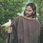The Creator